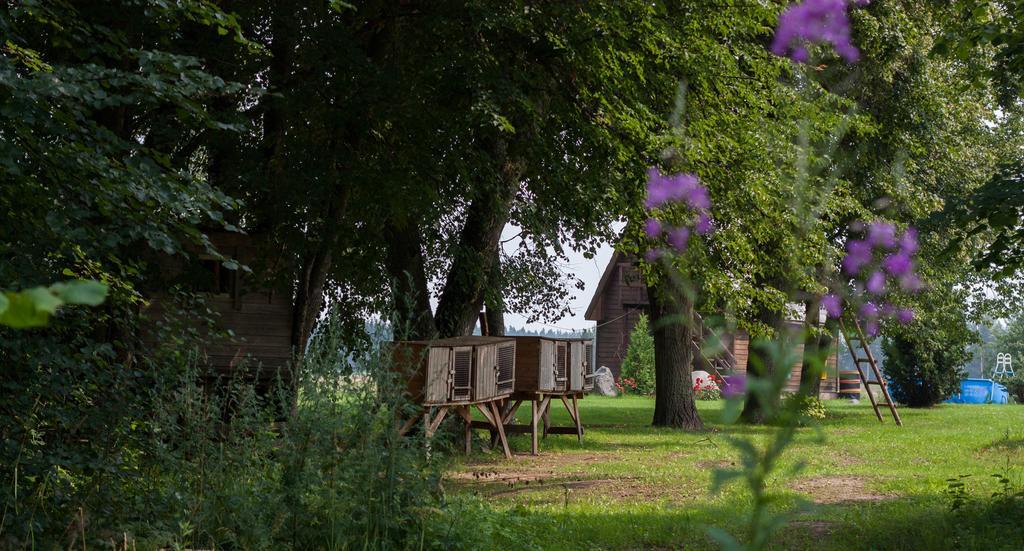 Viesu Nams Jaunzilaksi Hotel Viresi Bagian luar foto